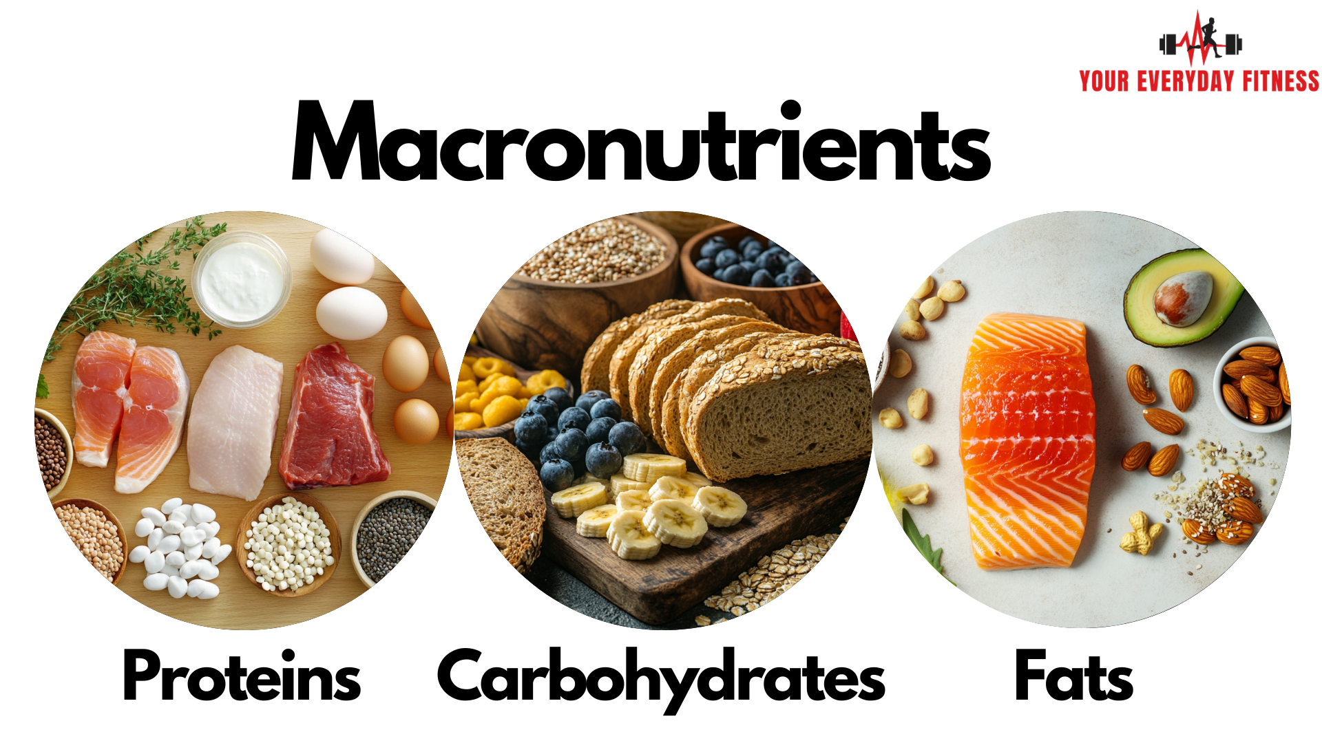 The Big Three: Protein, Carbs, and Fats