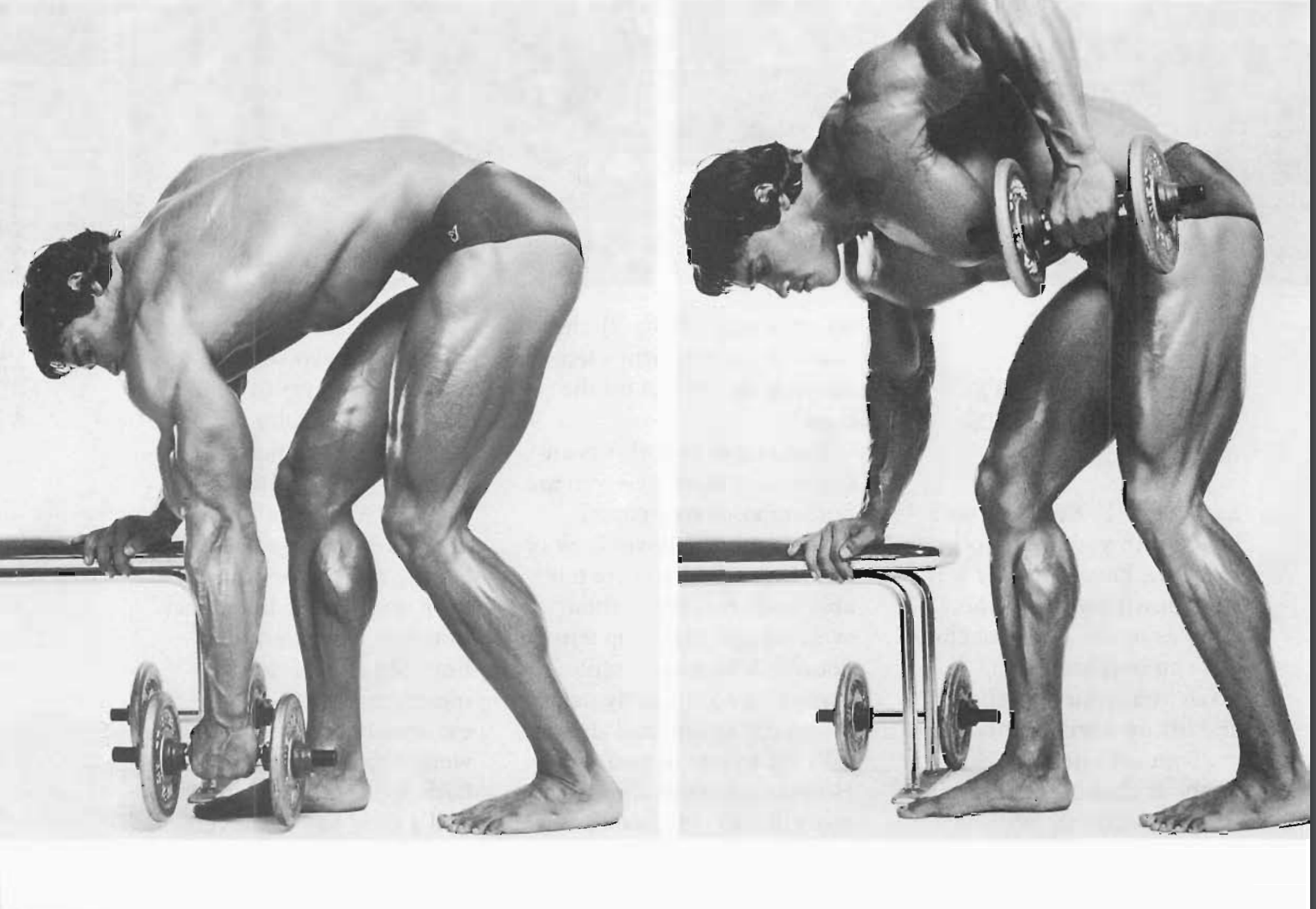 One-Arm Dumbbell Rows