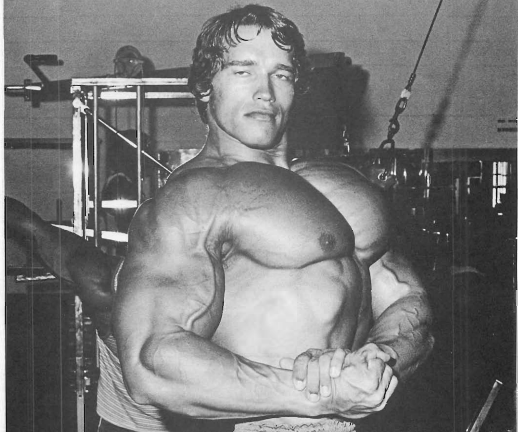 arnold chest MUSCLES