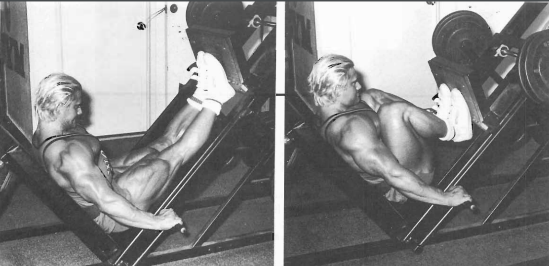 leg press