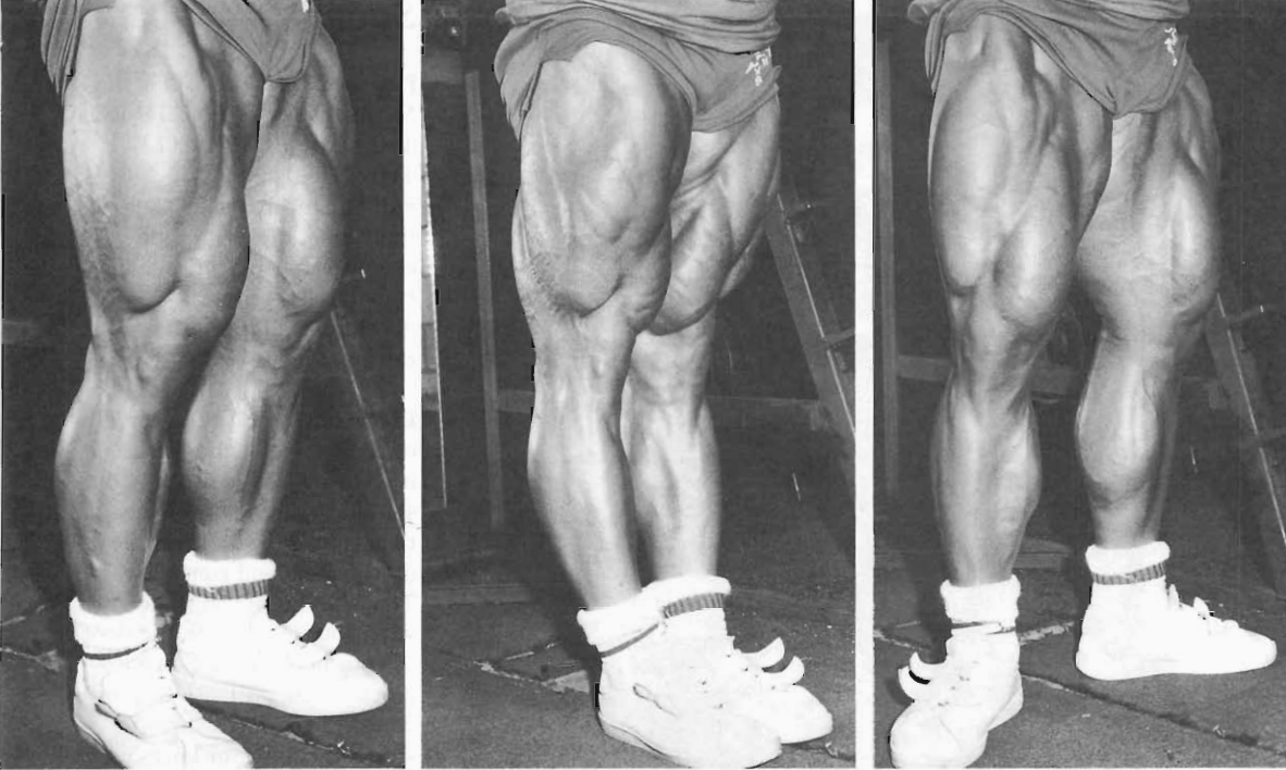 importance of leg training