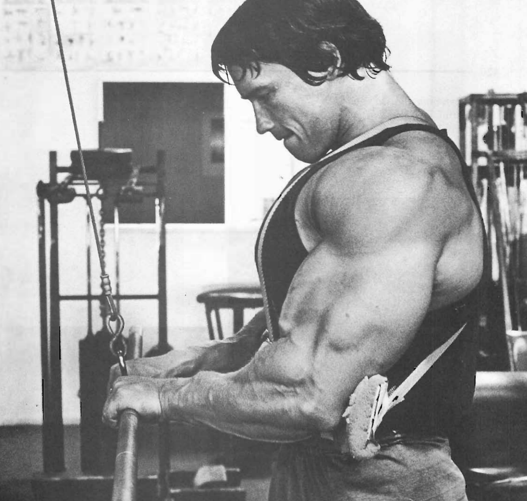 Triceps Pushdowns