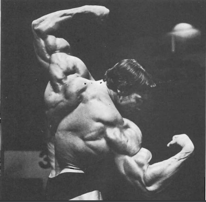 how arnold trained arms