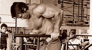 arnold dips