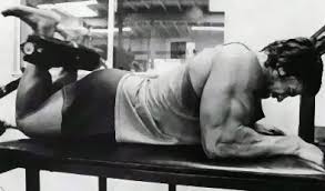 arnold leg curls