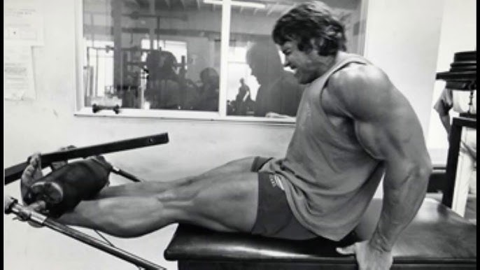 arnold leg extension