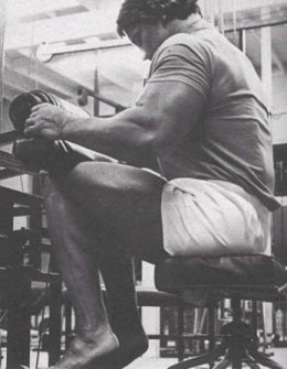 arnold seated calves