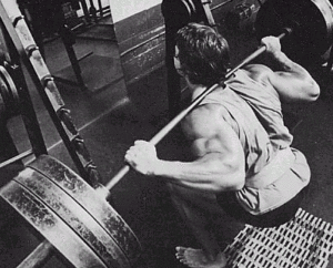 arnold squat