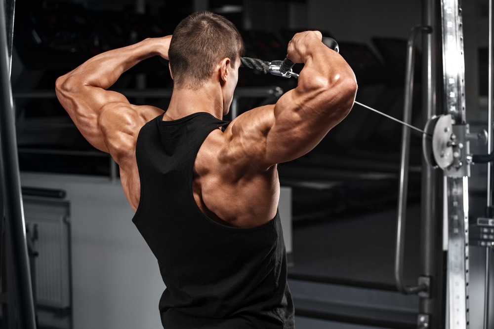 Focused trainer performing cable face pulls, an essential move for strengthening the rear deltoids and upper back, highlighted in a guide on best shoulder exercises.