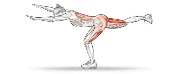 Single Leg Bodyweight RDLs