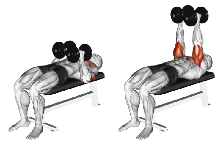 A Guide to Close-Grip Dumbbell Presses - Tactical Training & Conditioning