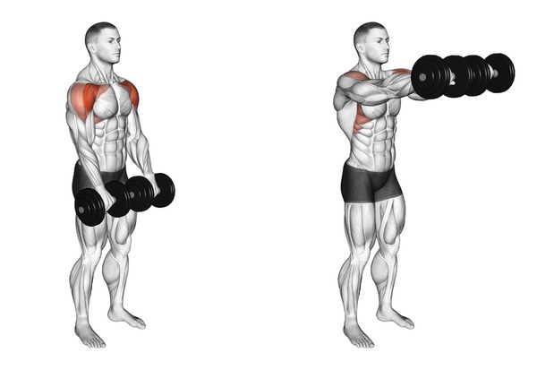 Dumbbell Front Raise Royalty-Free Images, Stock Photos & Pictures | Shutterstock